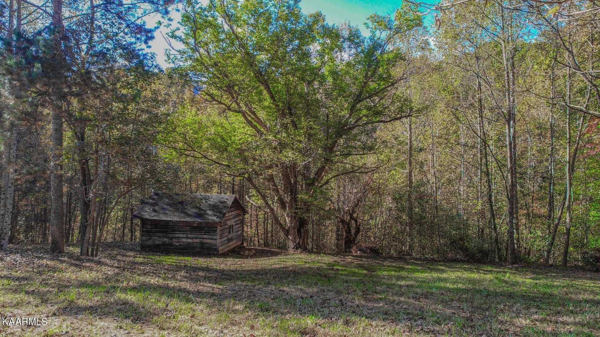 5-acres Rooster Town Road Cosby, TN 37722 - Photo 7 of 38 6