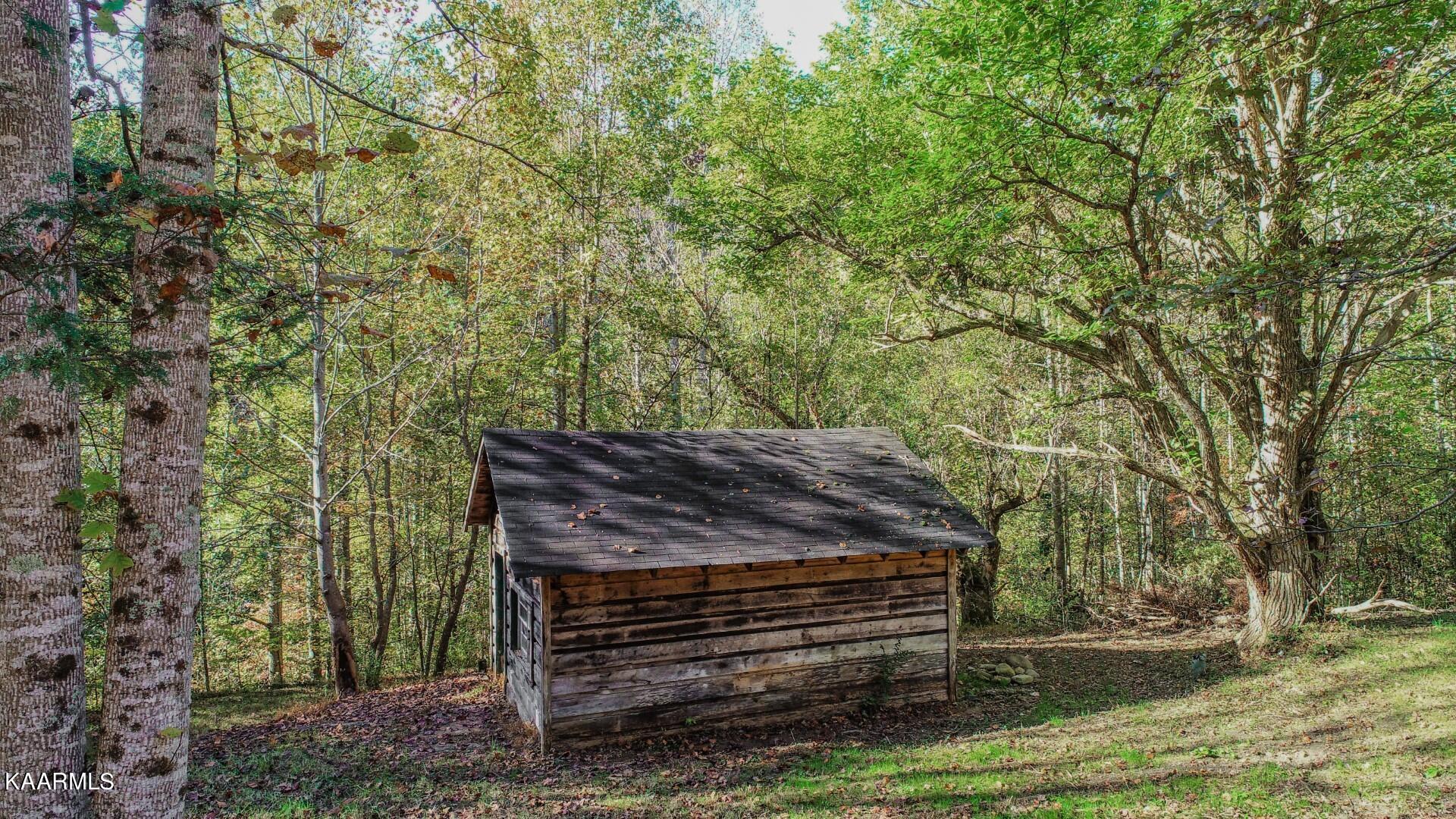 5-acres Rooster Town Road Cosby, TN 37722 - Photo 8 of 38 7