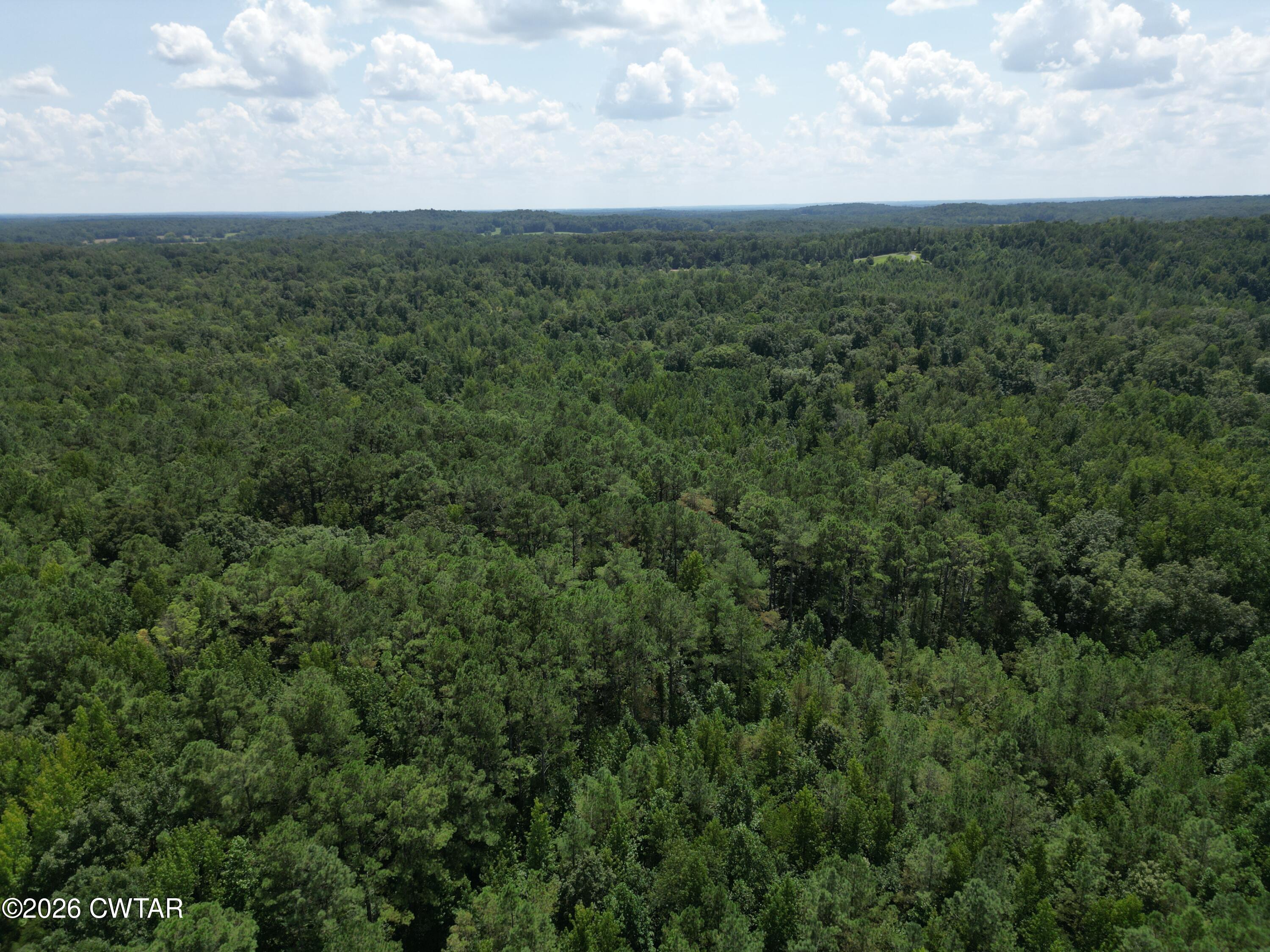 0 McAbee Road Jackson, TN 38301 - Photo 8 of 15 DJI_0631