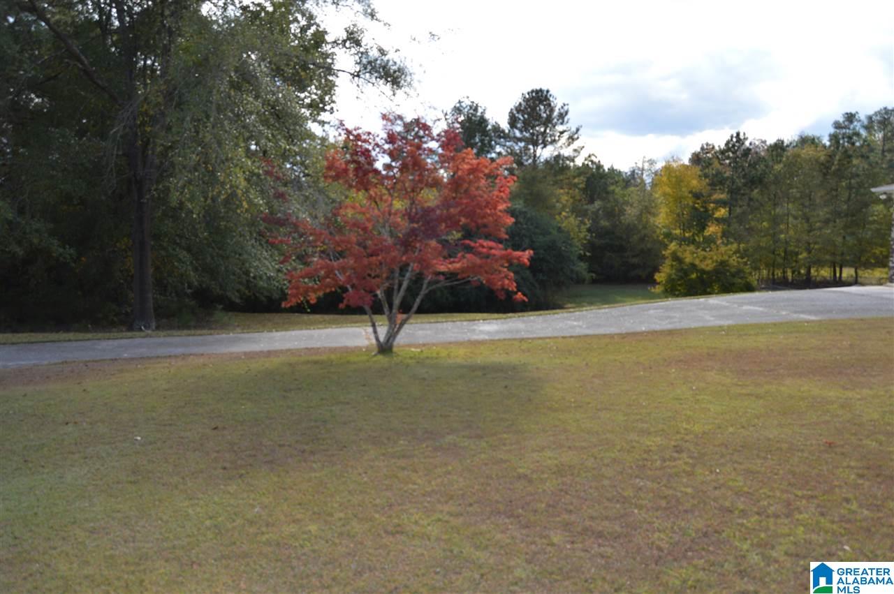 9038 Country Creek Road Dora, AL 35062 - Photo 33 of 39