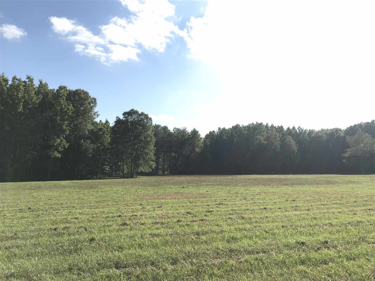 145 North Lewis Road Shepherd, MI 48883 - Photo 33 of 37 1852899-34.JPG
