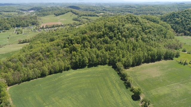 Tbd Countiss Road, Unit 6 & 96 Abingdon, VA 24210 - Photo 19 of 33 Gallery Image 19