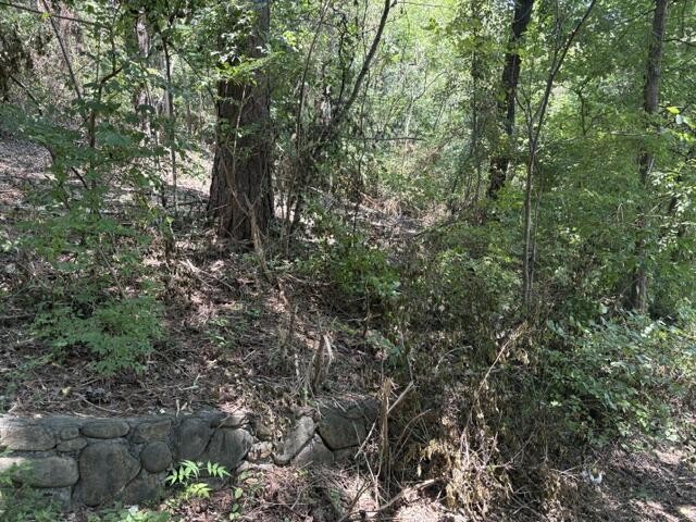 163 Dal Brown Road Chattanooga, TN 37405 - Photo 13 of 14 Gallery Image 13