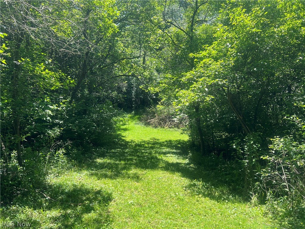 1811 Jeffries Road Huron, OH 44839 - Photo 9 of 50 trail to creek