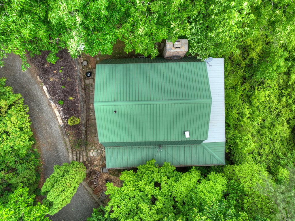 1582 Little Rock Creek Road Cherry Log, GA 30522 - Photo 55 of 56