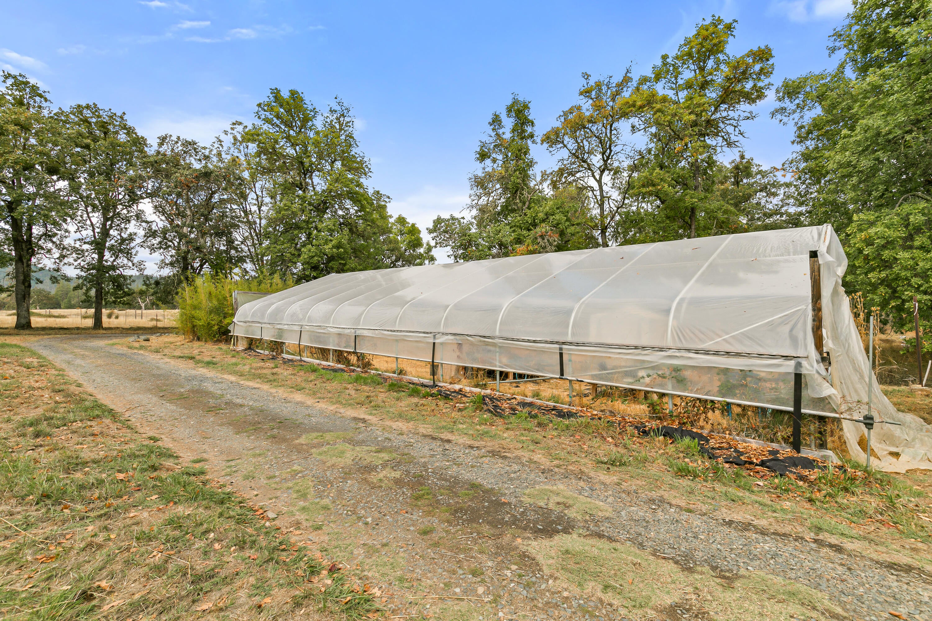 1225 Messinger Road Williams, OR 97544 - Photo 45 of 67 Large greenhouse