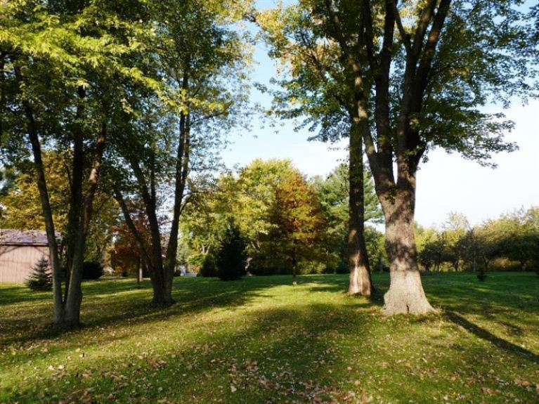 10119 Baldwin Road Bridgman, MI 49106 - Photo 11 of 24 Additional Photo