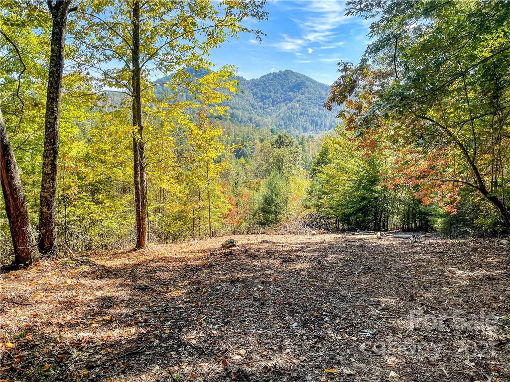 553 Boyd Road, Unit 2 Leicester, NC 28748 - Photo 1 of 17 a view of a yard with large trees