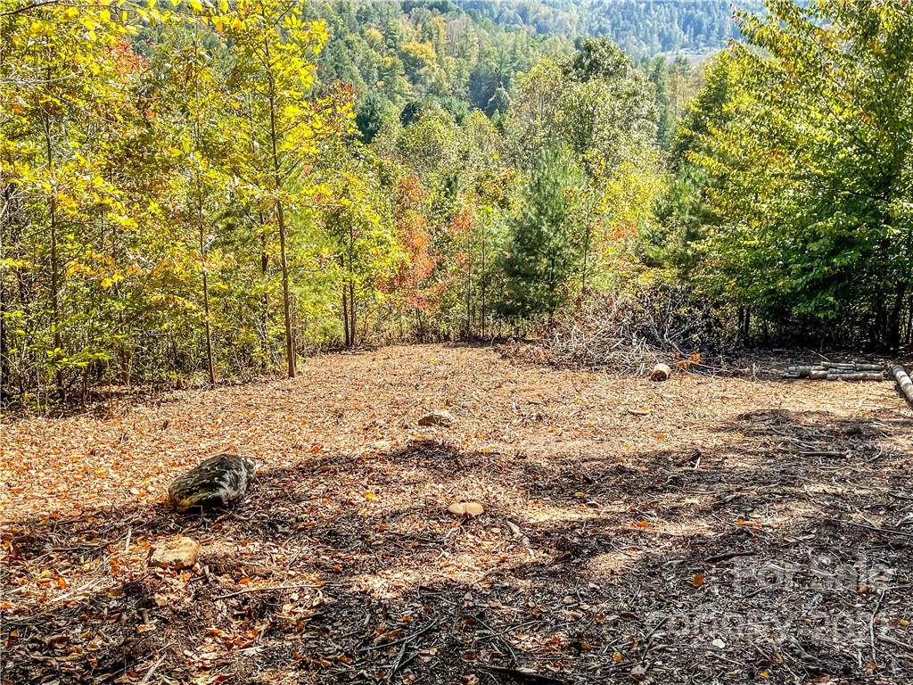 553 Boyd Road, Unit 2 Leicester, NC 28748 - Photo 5 of 17 a view of a yard with trees