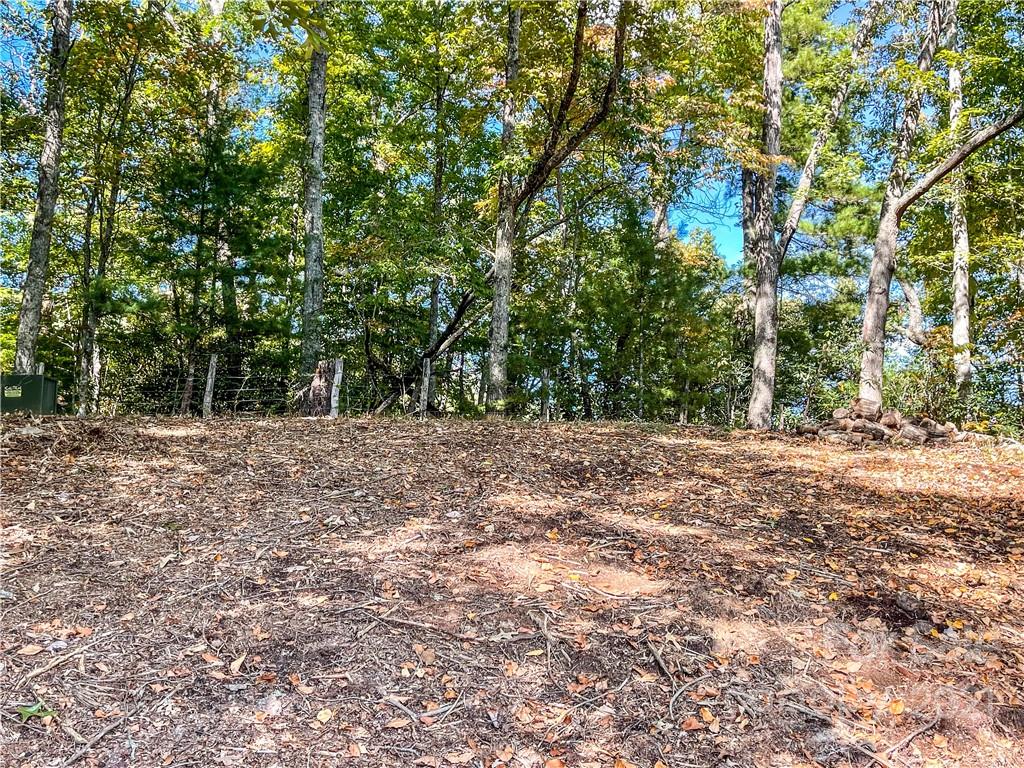 553 Boyd Road, Unit 2 Leicester, NC 28748 - Photo 6 of 17 a view of outdoor space and yard