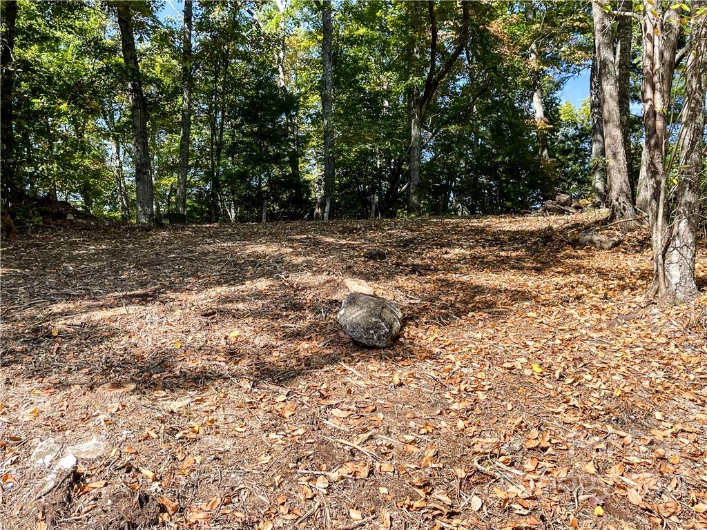 553 Boyd Road, Unit 2 Leicester, NC 28748 - Photo 7 of 17 a view of backyard with green space