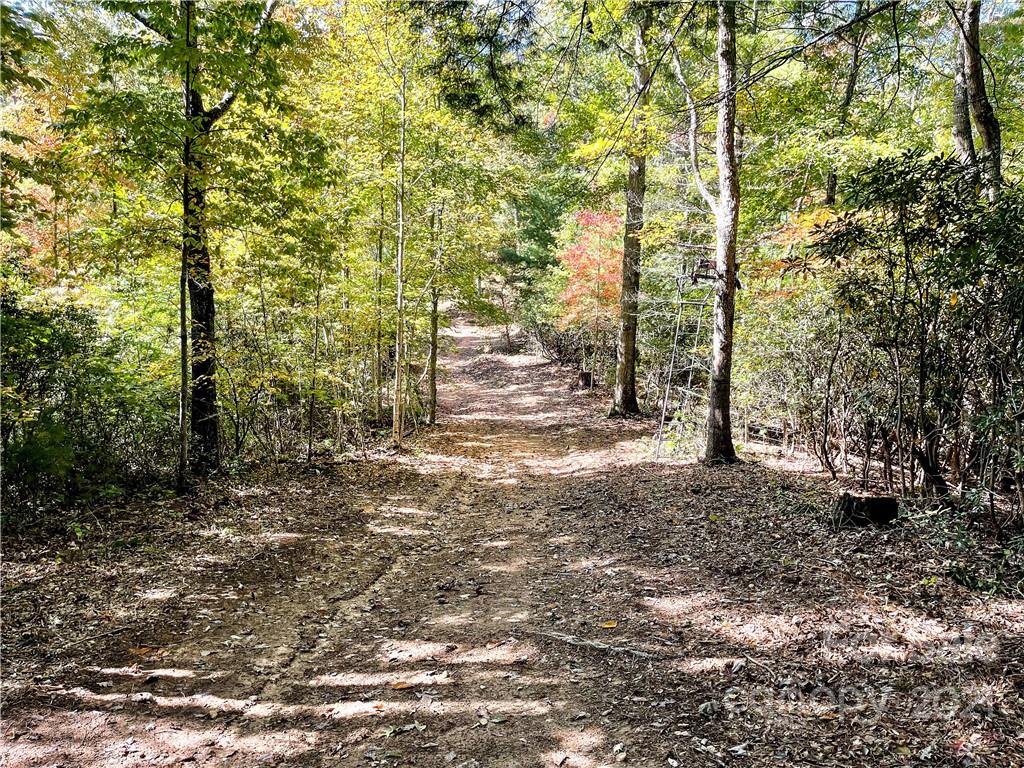 553 Boyd Road, Unit 2 Leicester, NC 28748 - Photo 8 of 17 a view of a yard with trees