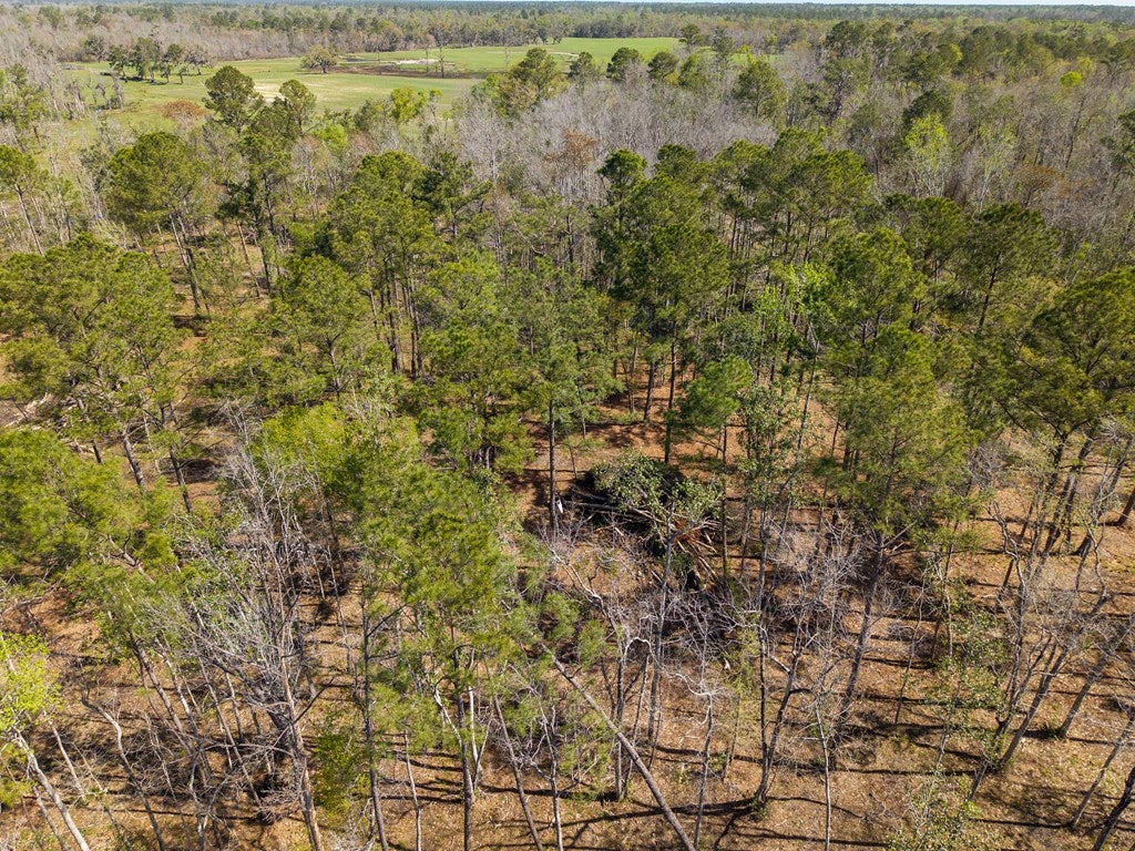 92 Purvis Lane Naylor, GA 31641 - Photo 72 of 80 Gallery Image 72