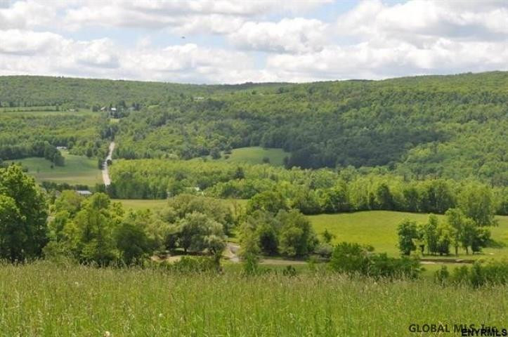 0 Switzkill Road Berne, NY 12023 - Photo 3 of 5 Photo 3