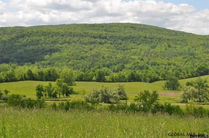 0 Switzkill Road Berne, NY 12023 - Photo 4 of 5 Photo 4