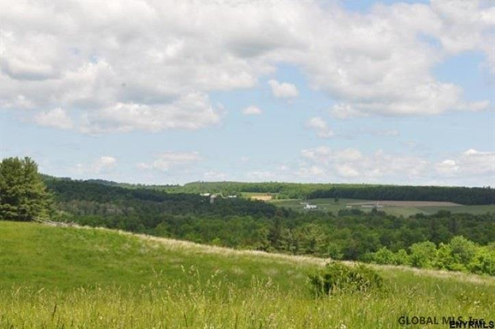 0 Switzkill Road Berne, NY 12023 - Photo 5 of 5 Photo 5
