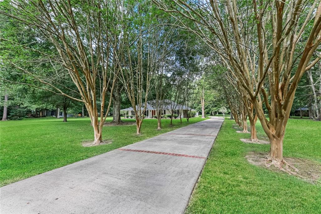 32581 Mercier Road Denham Springs, LA 70706 - Photo 2 of 23 Gallery Image 2