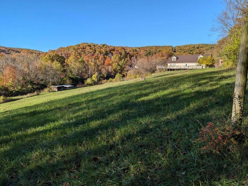 374 Sugar Run Road Piketon, OH 45661 - Photo 3 of 24 3