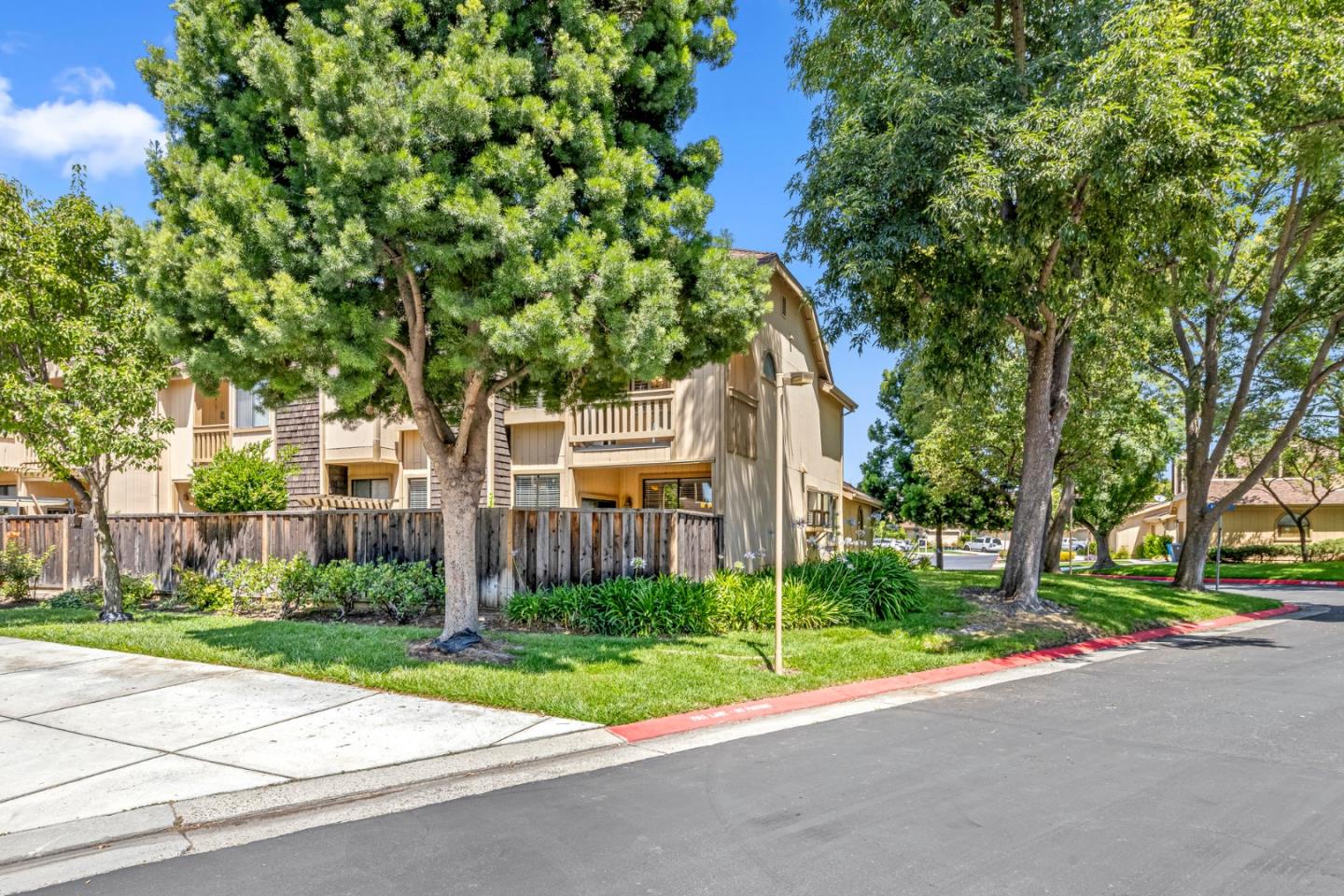 2137 Darnis Circle Morgan Hill, CA 95037 - Photo 48 of 66 a view of a house with a tree and plants
