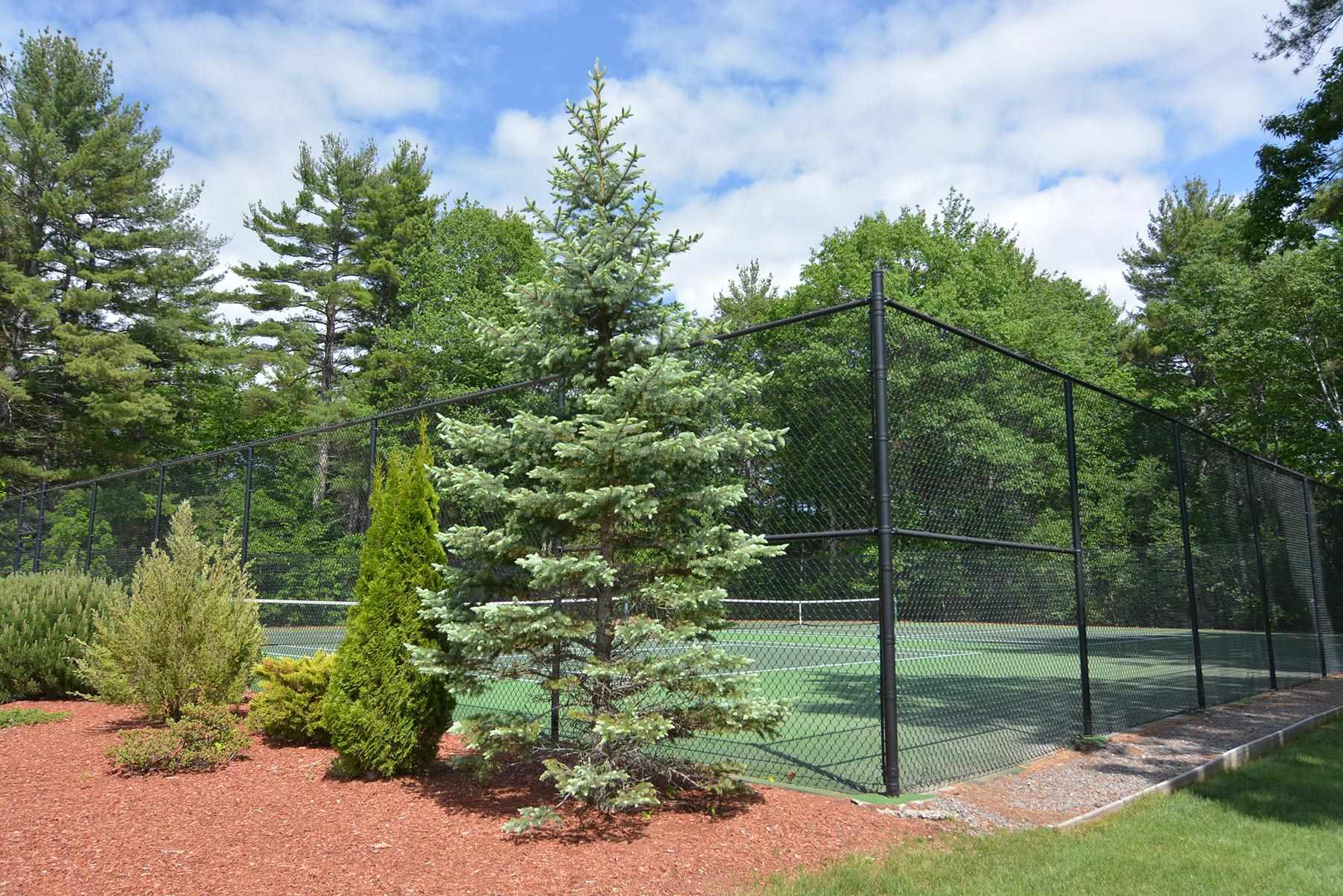 0 States Landing Road Moultonborough, NH 03254 - Photo 13 of 20