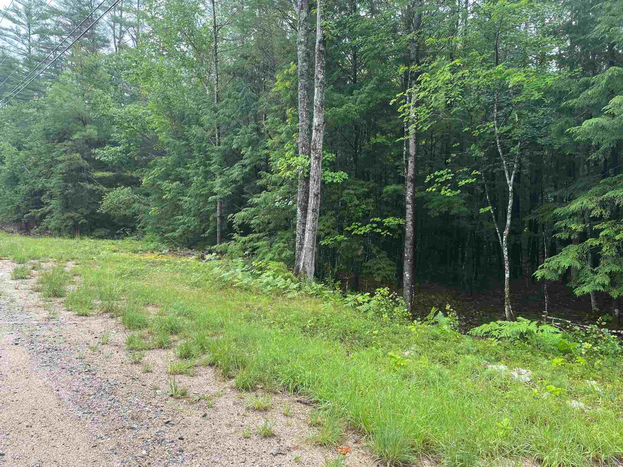 0 States Landing Road Moultonborough, NH 03254 - Photo 5 of 20
