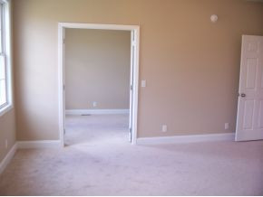 599 Hales Chapel Road Gray, TN 37615 - Photo 8 of 11 Walk in closet Master