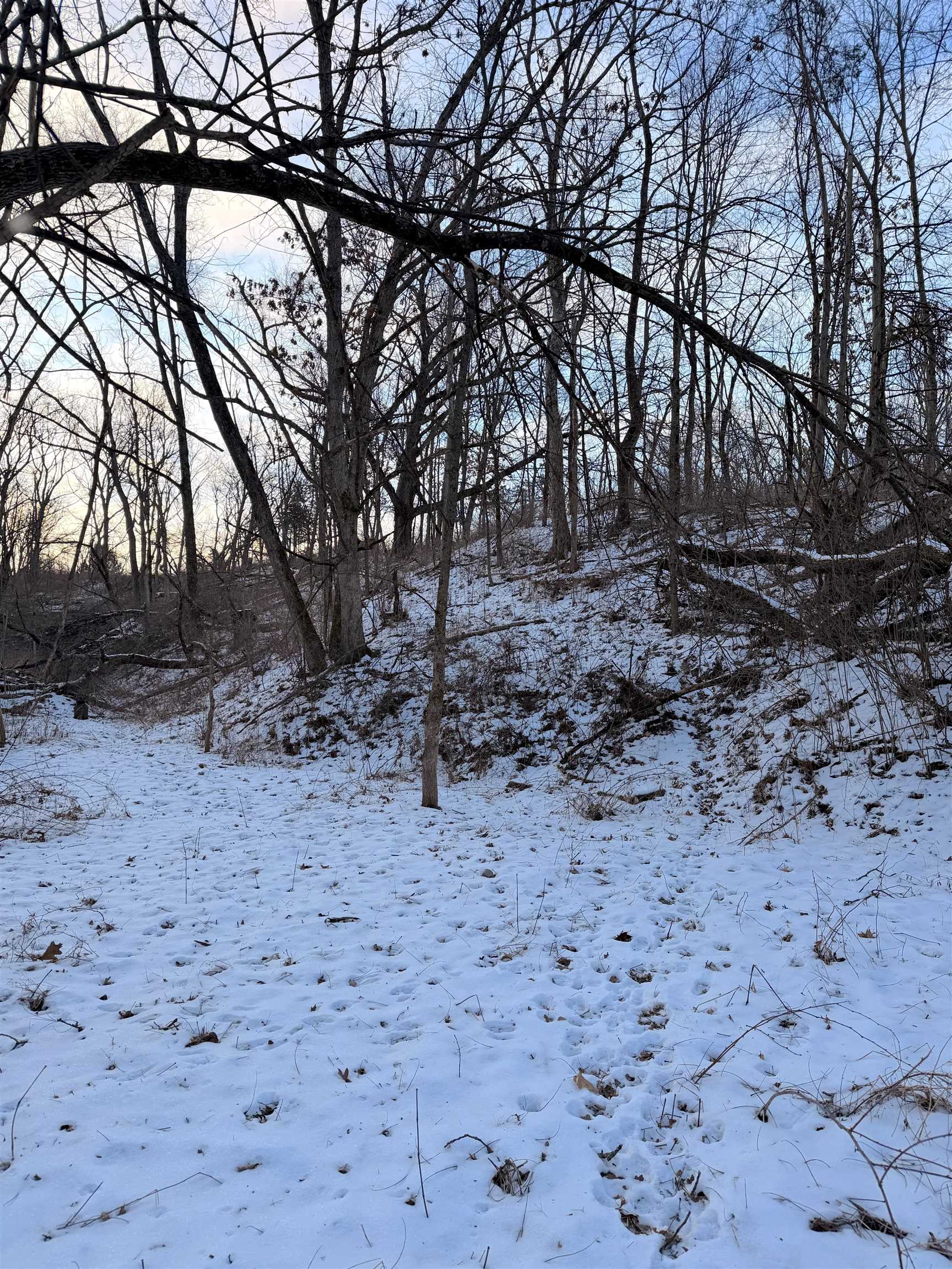 0 Messmer Road Savanna, IL 61074 - Photo 6 of 85