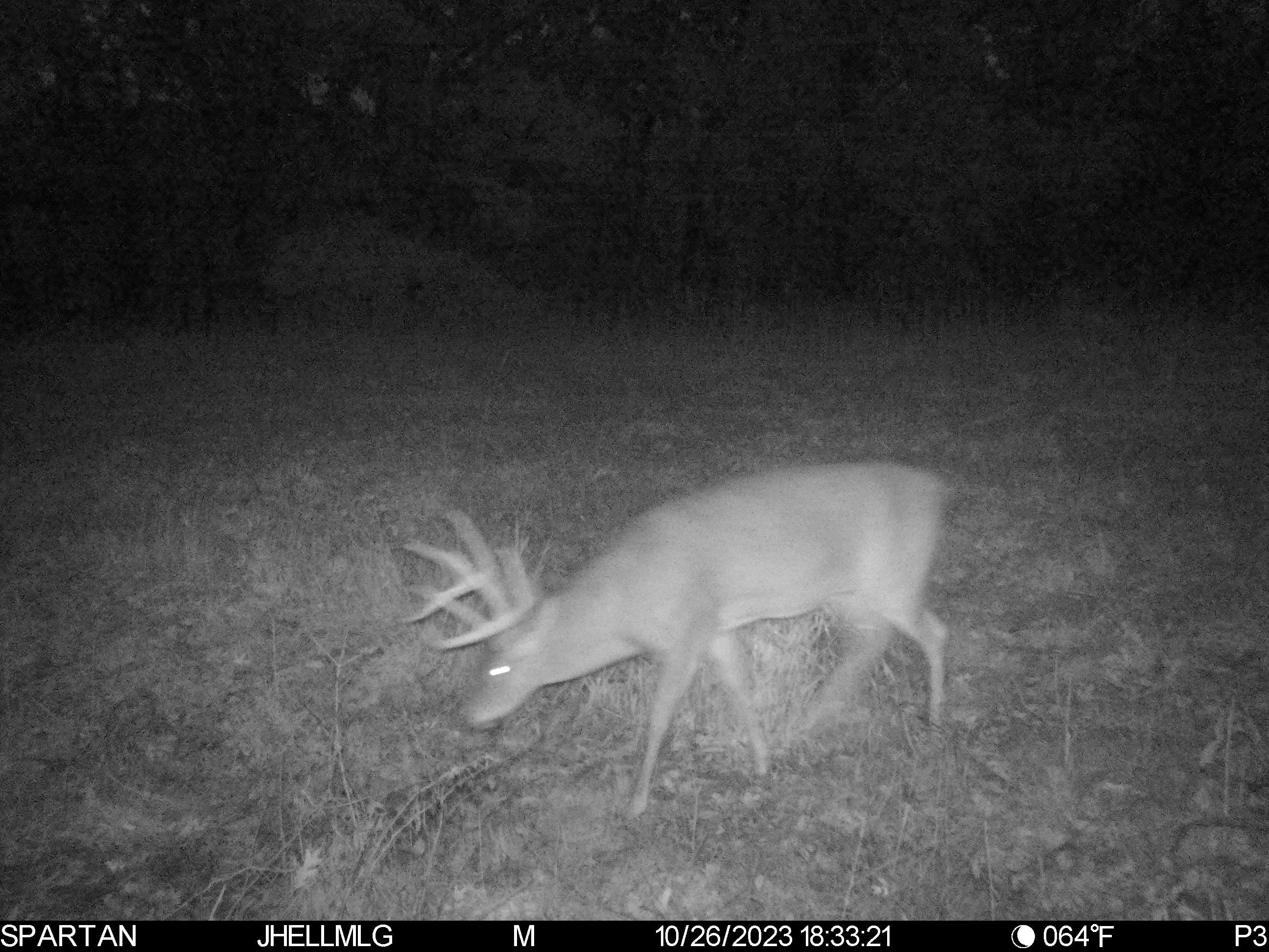 0 Messmer Road Savanna, IL 61074 - Photo 76 of 85