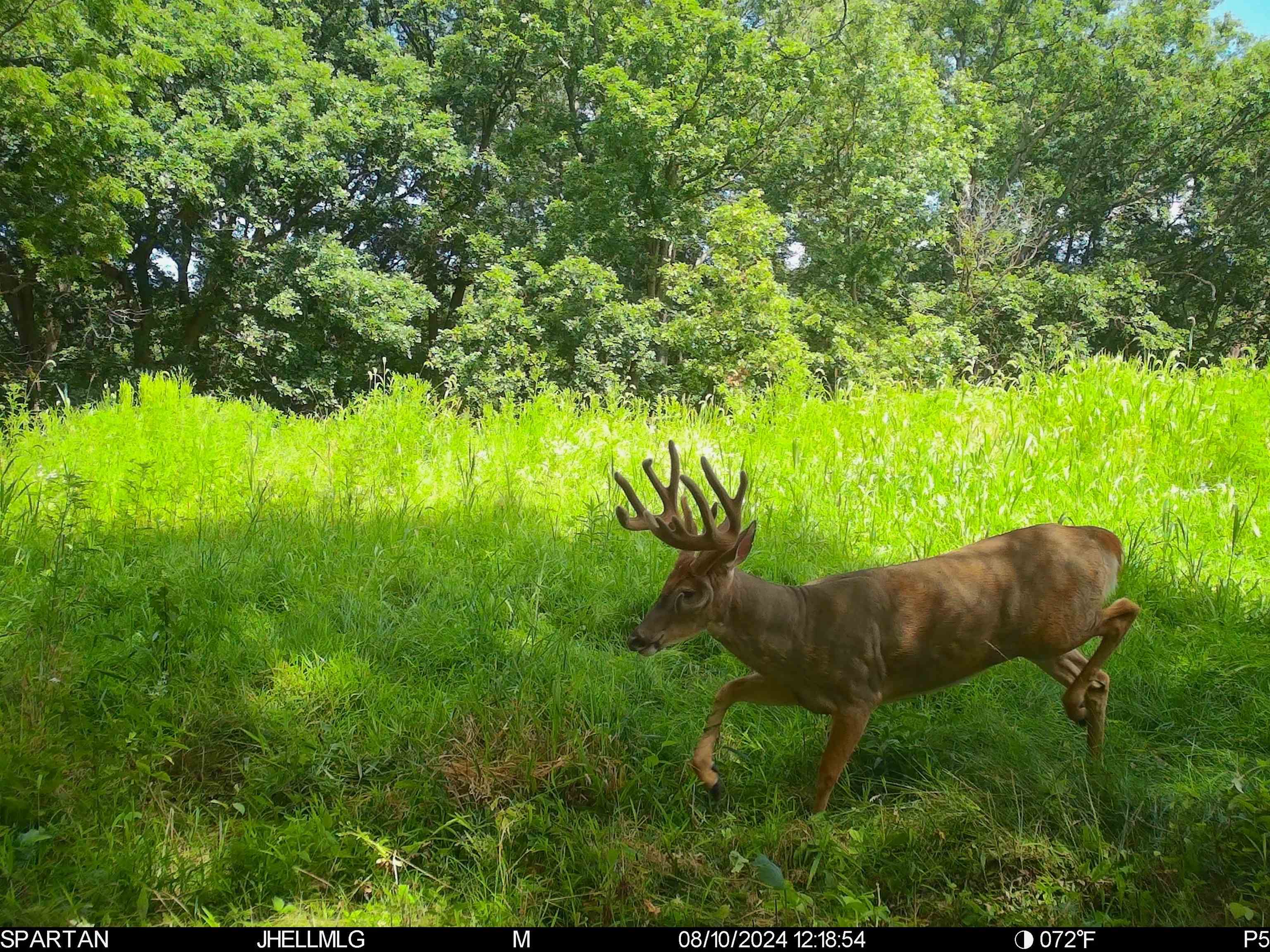 0 Messmer Road Savanna, IL 61074 - Photo 81 of 85