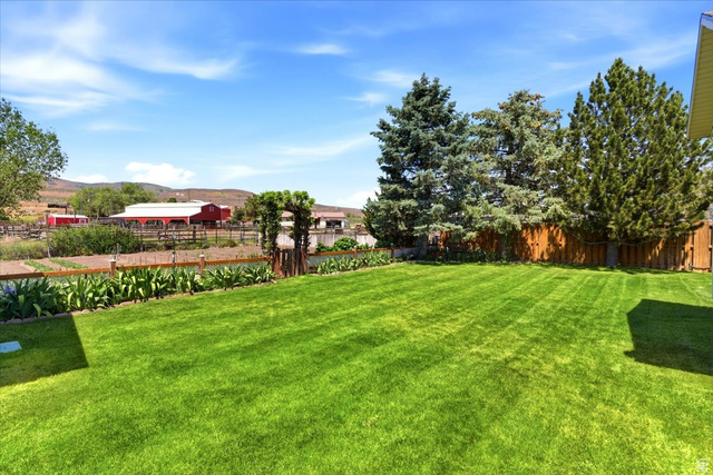 72 Canal Bank Road Garland, UT 84312 - Photo 30 of 40 Expansive green lawn with defined mowing patterns, bordered by a privacy fence, mature evergreen trees, and a landscaped garden bed