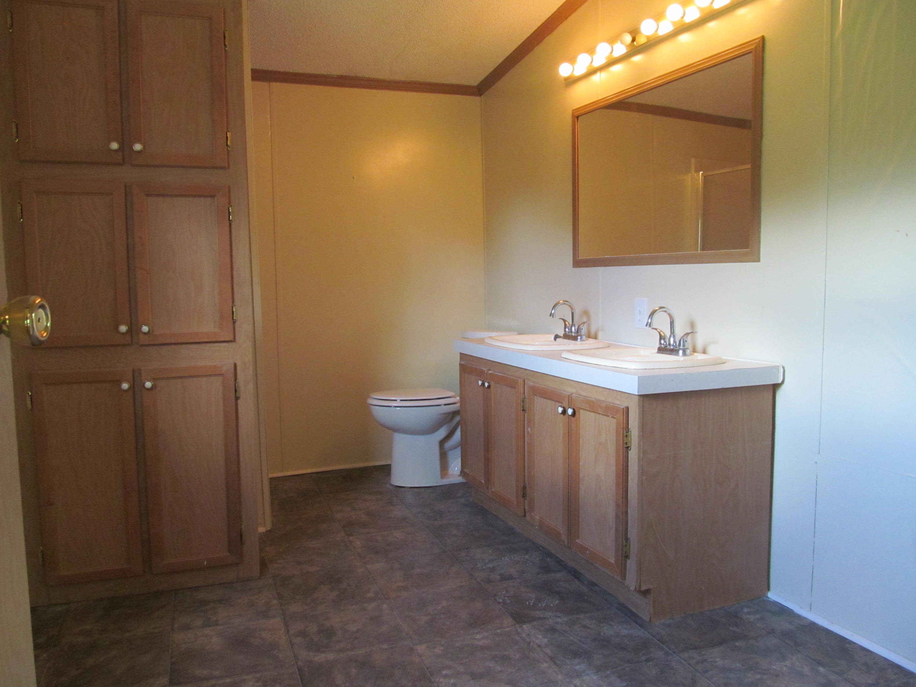 3016 Quarles Road Thaxton, VA 24174 - Photo 14 of 41 a bathroom with a toilet a sink and mirror