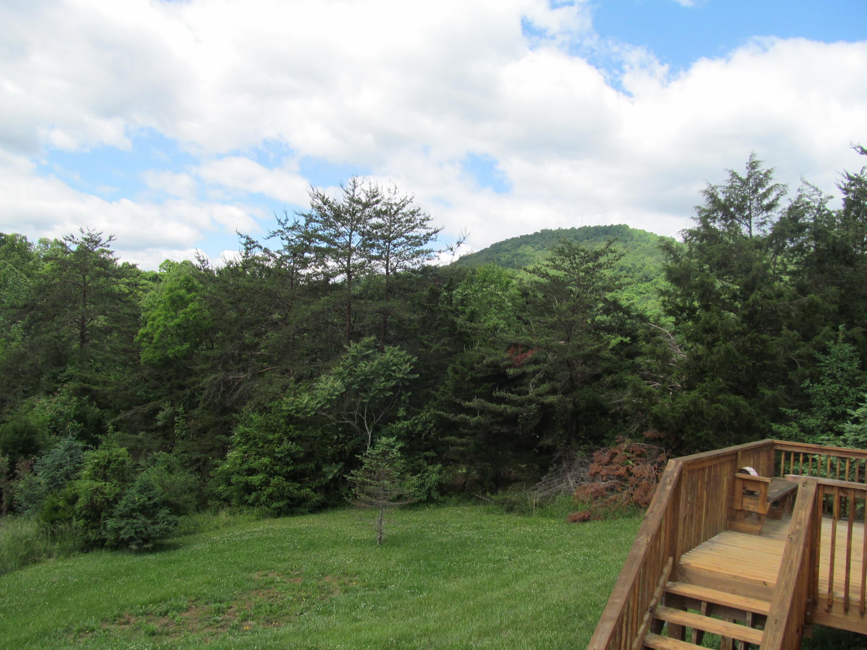 3016 Quarles Road Thaxton, VA 24174 - Photo 22 of 41 a view of a yard with table and chairs