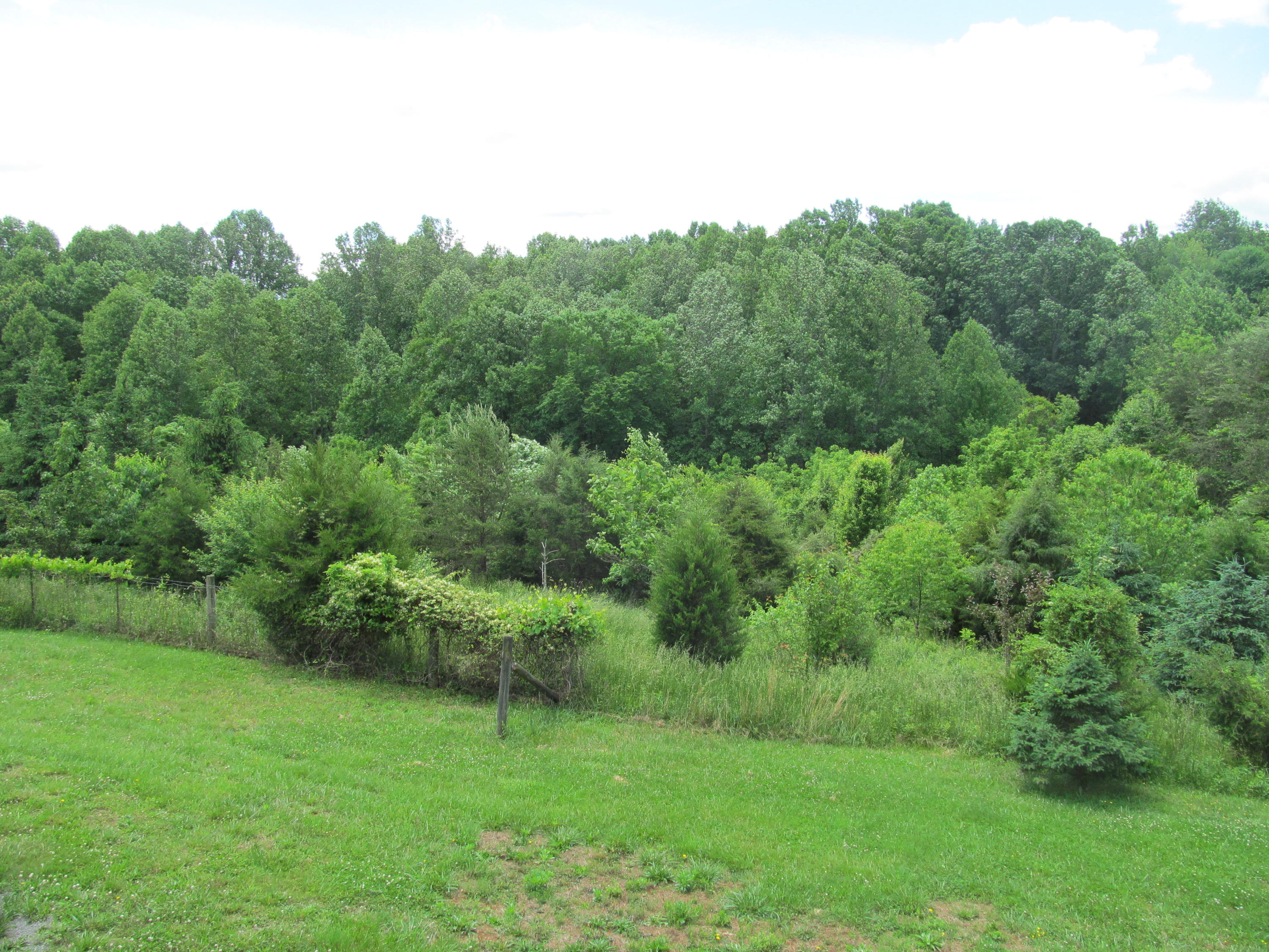 3016 Quarles Road Thaxton, VA 24174 - Photo 27 of 41 an aerial view of green landscape with trees houses and mountain view
