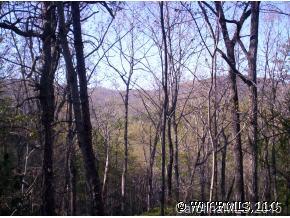a view of forest