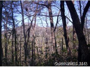 24 Ridgeway Road, Unit 24 Lake Lure, NC 28746 - Photo 2 of 6