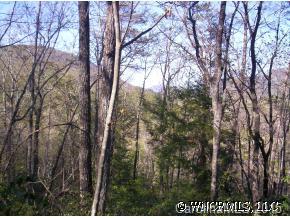 24 Ridgeway Road, Unit 24 Lake Lure, NC 28746 - Photo 3 of 6 a view of forest