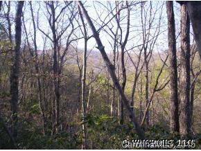 24 Ridgeway Road, Unit 24 Lake Lure, NC 28746 - Photo 5 of 6 a view of forest