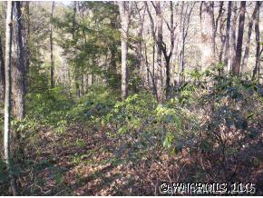 24 Ridgeway Road, Unit 24 Lake Lure, NC 28746 - Photo 6 of 6 a view of forest