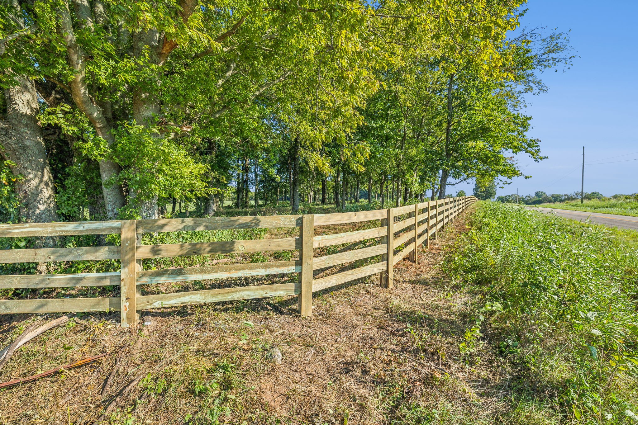 5 Old Zion Road Columbia, TN 38401 - Photo 3 of 9 Gallery Image 3
