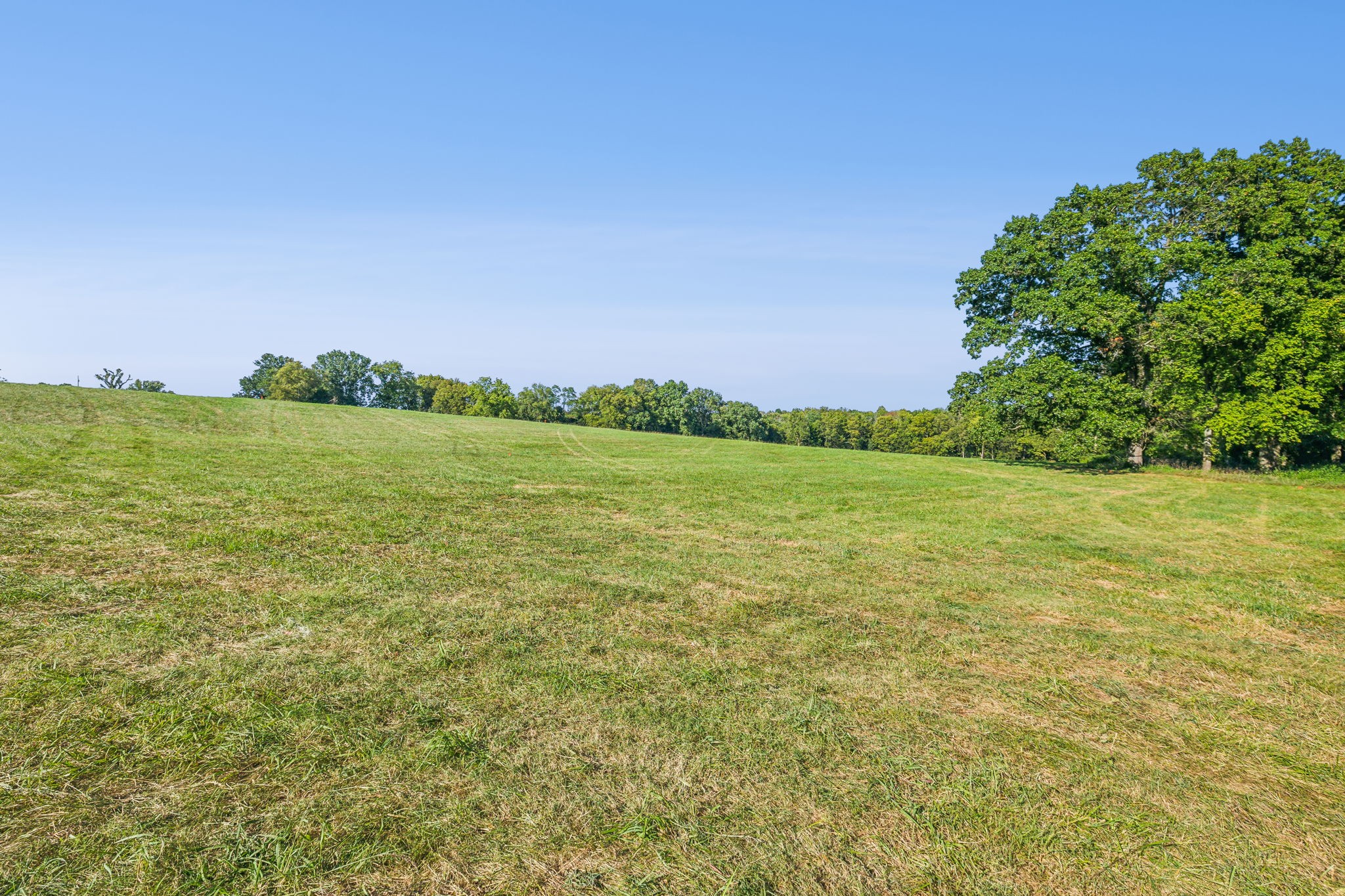 5 Old Zion Road Columbia, TN 38401 - Photo 8 of 9 Gallery Image 8