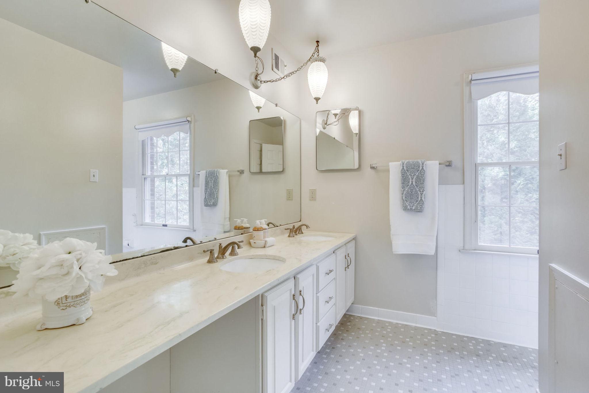 1423 Aldenham Lane Reston, VA 20190 - Photo 22 of 30 Large hallway bathroom