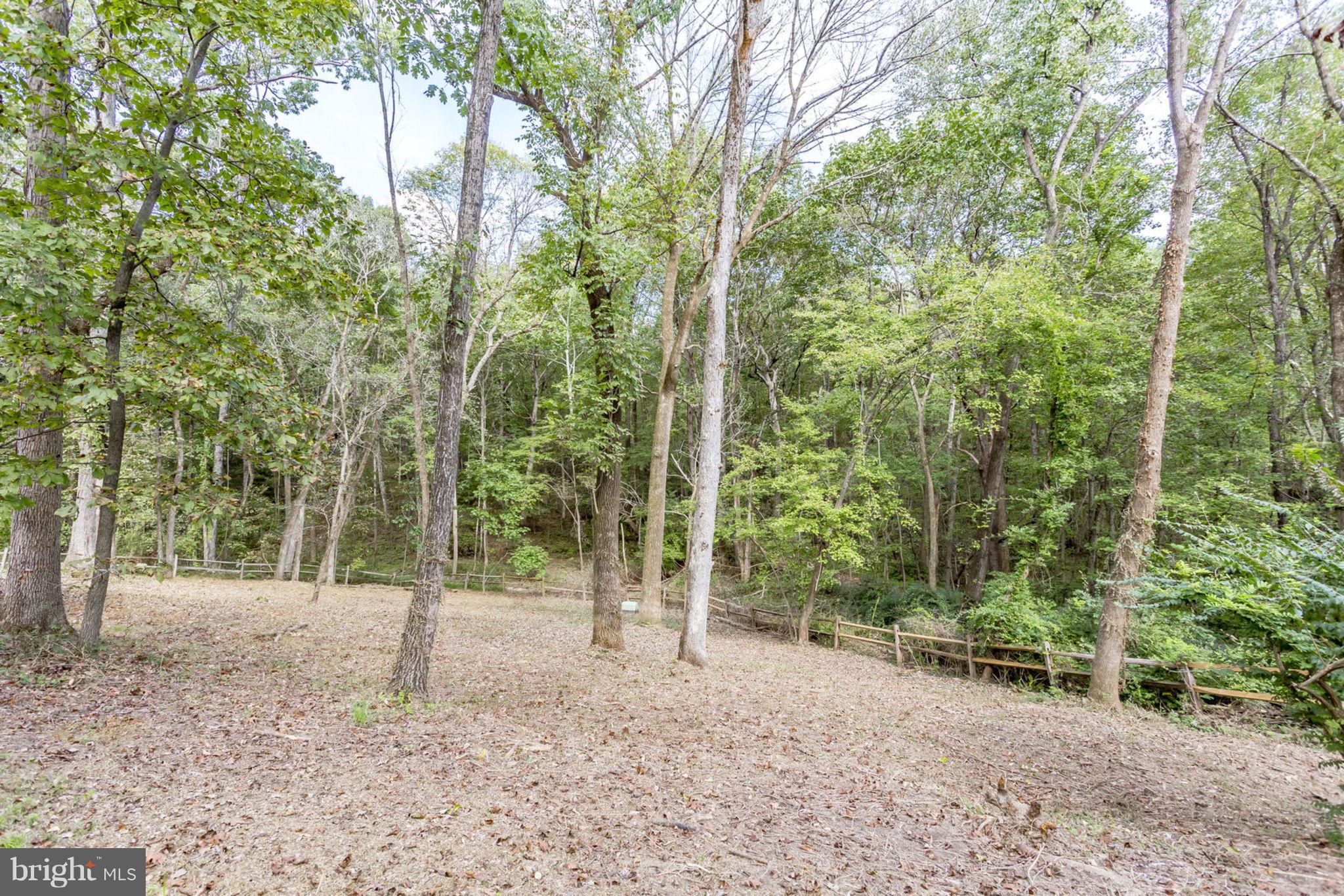 1423 Aldenham Lane Reston, VA 20190 - Photo 30 of 30 Enjoy Lake Fairfax Park behind the property line