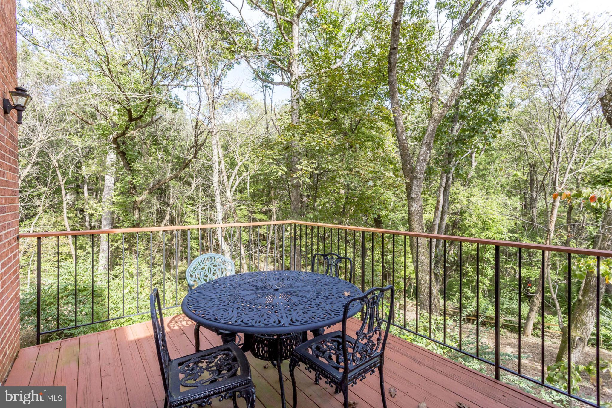 1423 Aldenham Lane Reston, VA 20190 - Photo 7 of 30 Grab a meal out in your private backyard