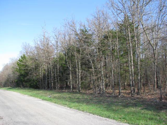 0 Farm Road Monett, MO 65708 - Photo 1 of 1 Primary Photo