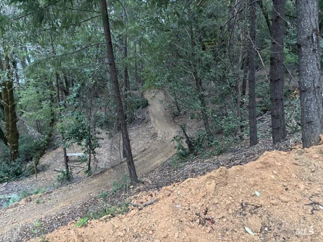 17707 Rockpile Road Geyserville, CA 95441 - Photo 18 of 22 a view of a road with trees in the background