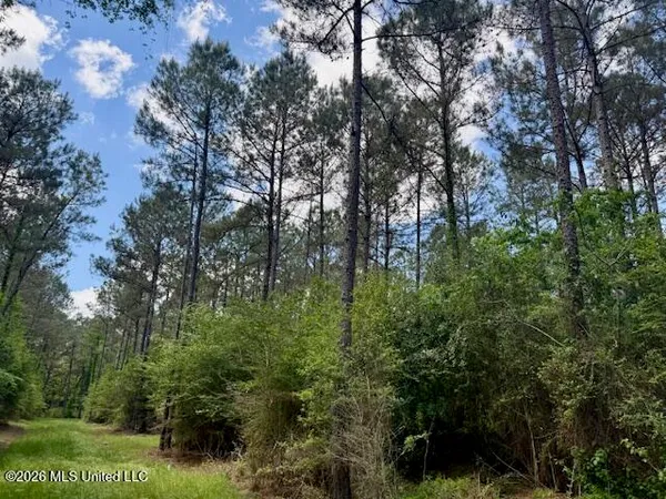 $1,197,225 | Magnolia Holmesville Road, McComb, MS 39648