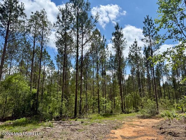 Magnolia Holmesville Road McComb, MS 39648 - Photo 11 of 74 IMG_8207