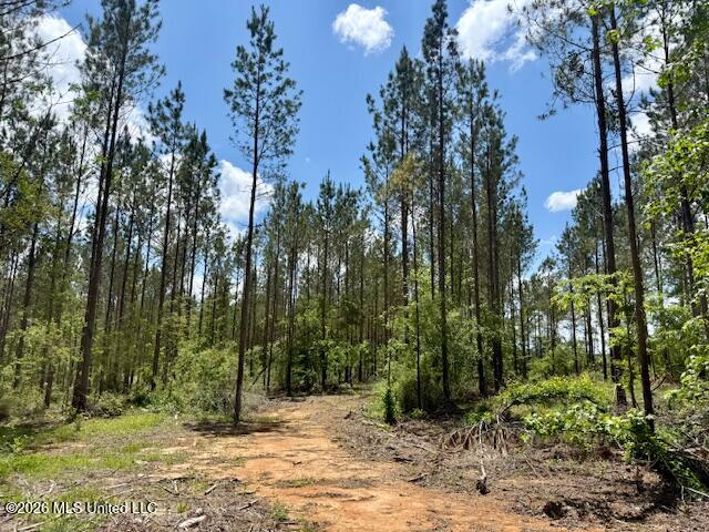 Magnolia Holmesville Road McComb, MS 39648 - Photo 12 of 74 IMG_8210