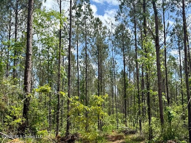Magnolia Holmesville Road McComb, MS 39648 - Photo 13 of 74 IMG_8245