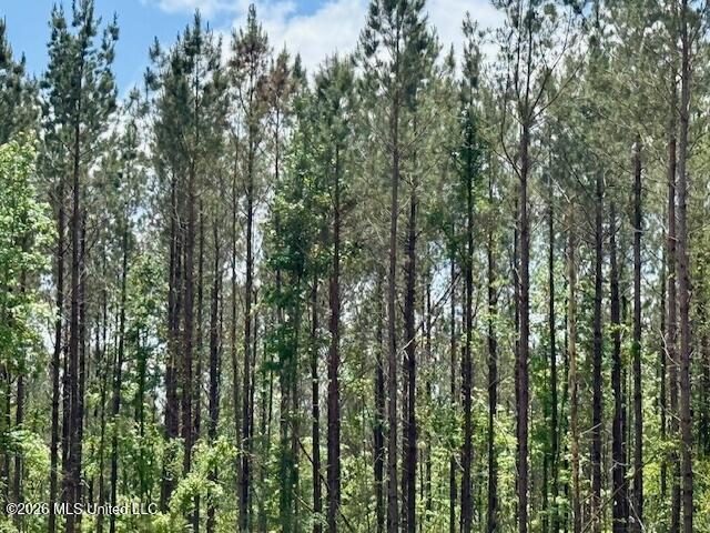 Magnolia Holmesville Road McComb, MS 39648 - Photo 14 of 74 IMG_8244